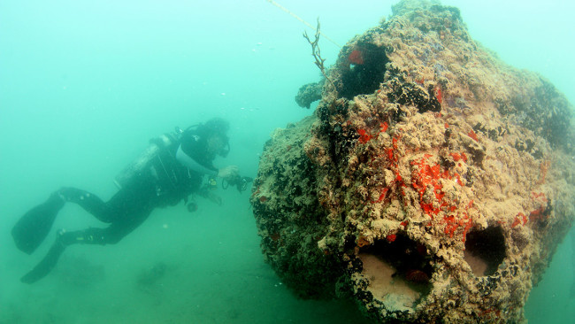 Pearl Harbor Plane Uncovered